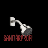 Dornbracht Kopfbrause LULU (28508710-060010)
